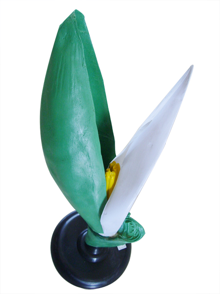 小麥花模型
